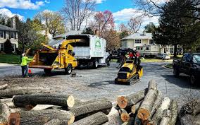 Best Tree Preservation Services  in White Hall, AR